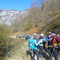 P1190455    Ricompattamento.